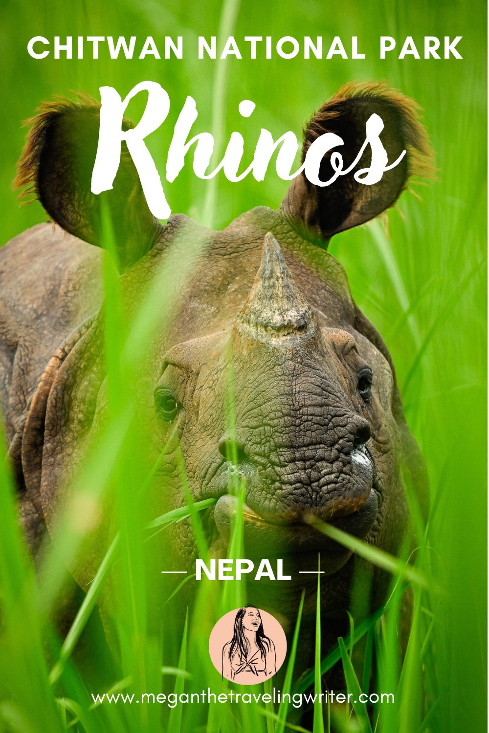 Chitwan international tour package - Chitwan Jungle Safari